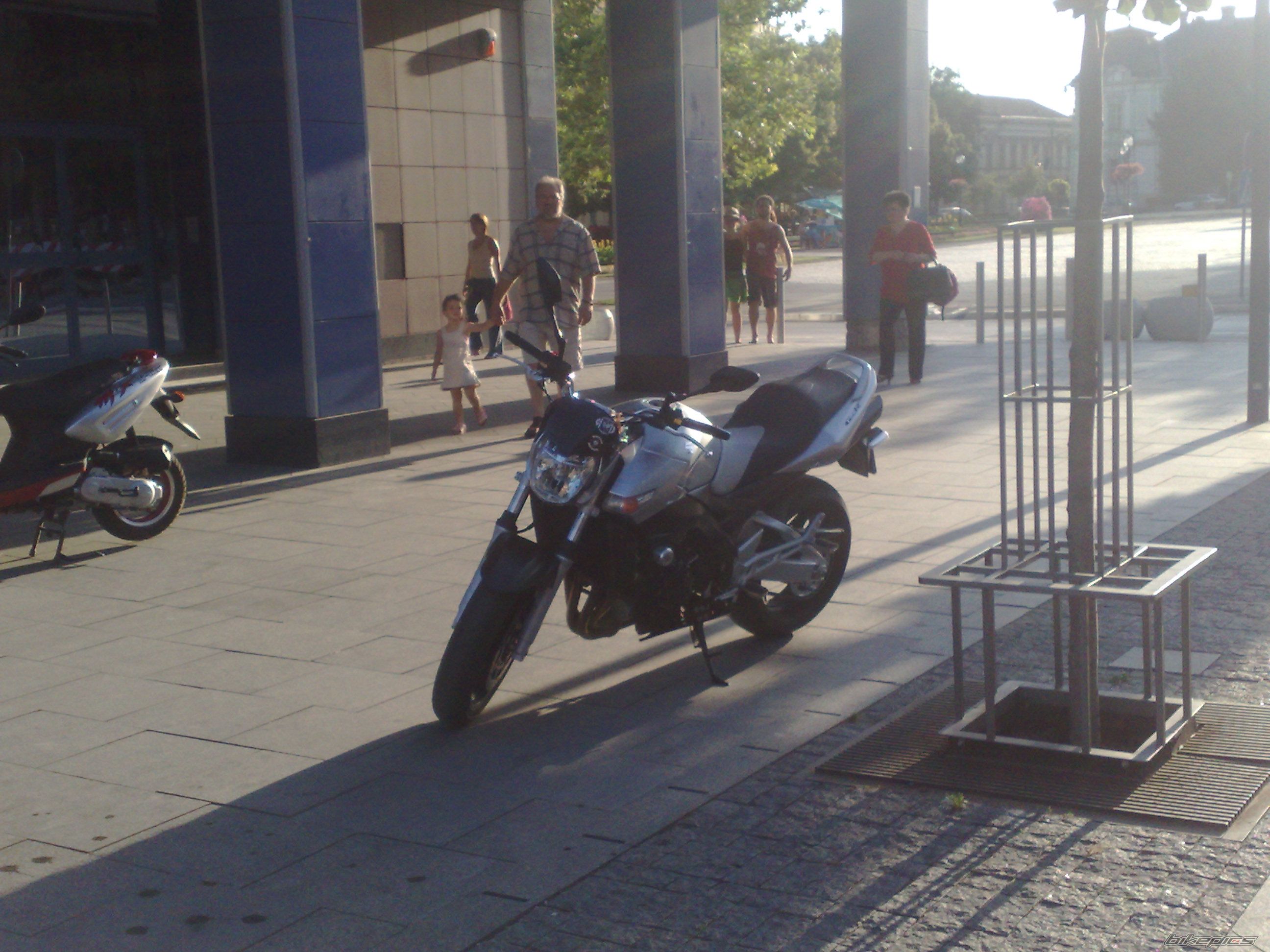 Photo 1351081