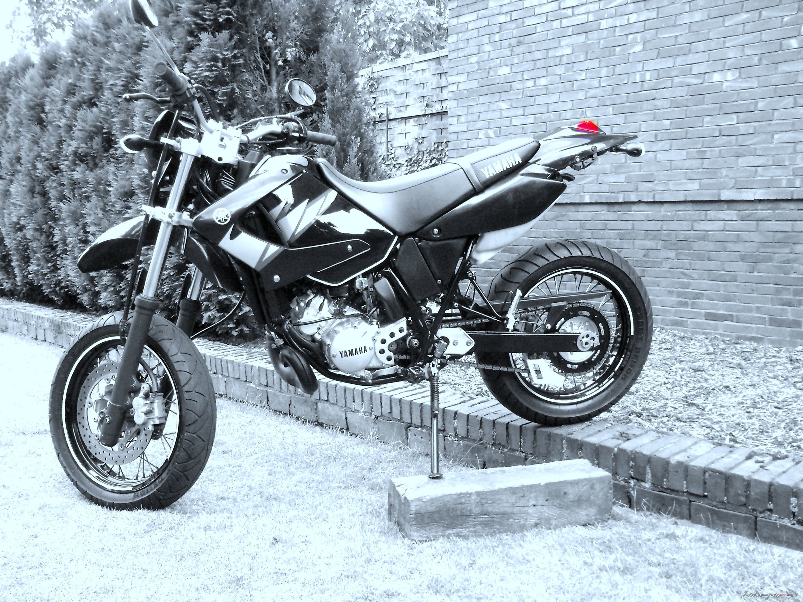 Photo 1351085