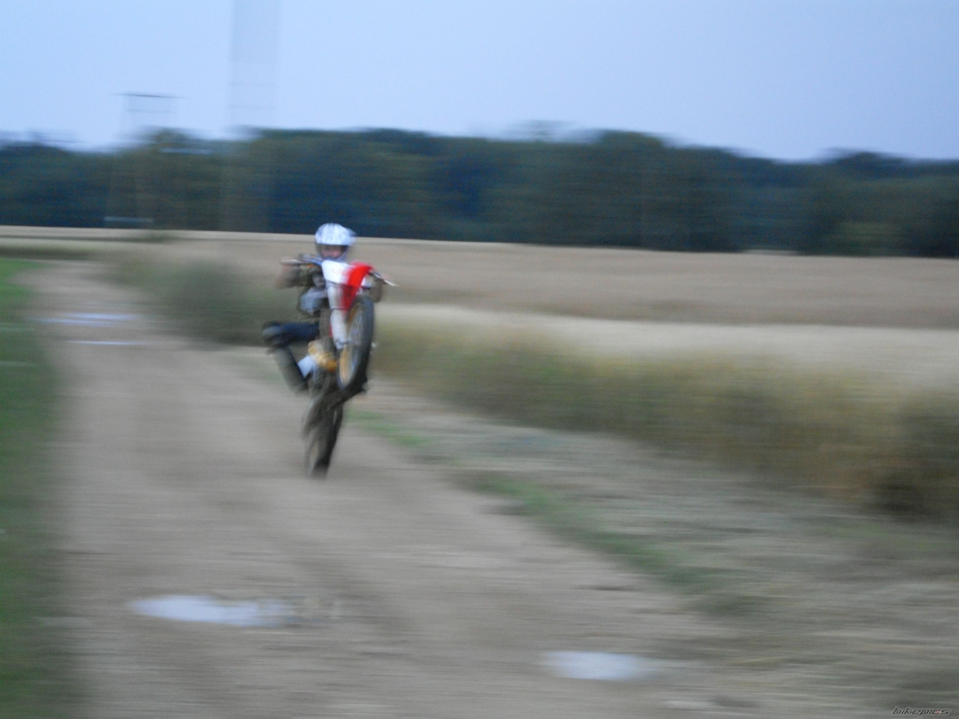 Photo 1351141