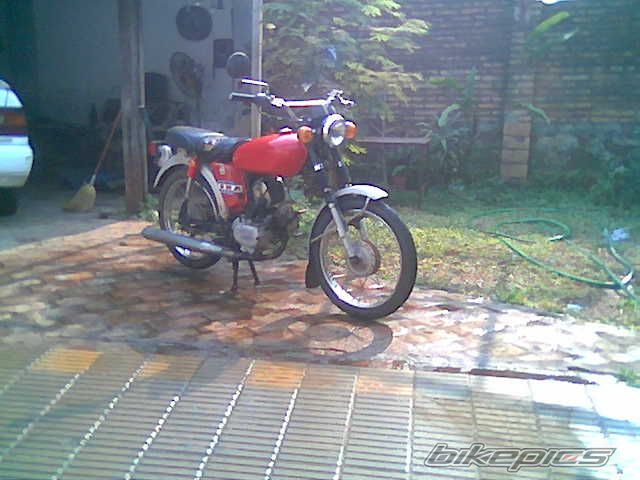 Photo 1351223