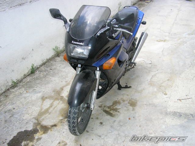 Photo 1351255