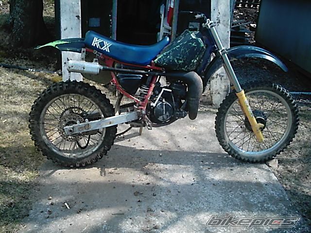Photo 1351279