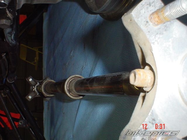Photo 1351420