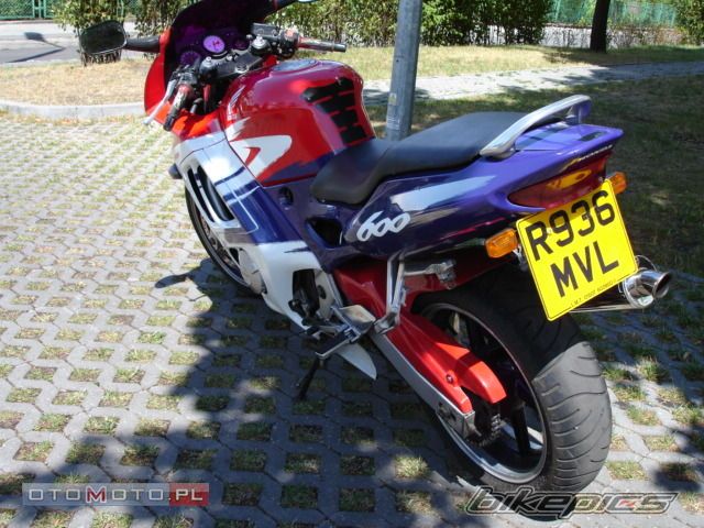 Photo 1351521