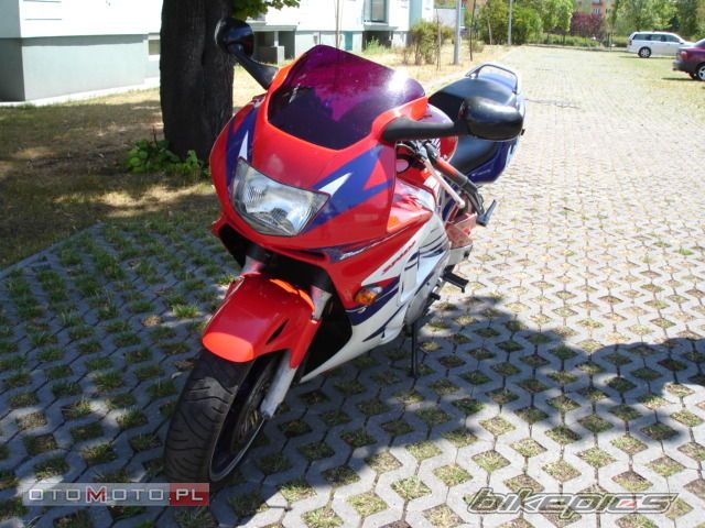 Photo 1351525