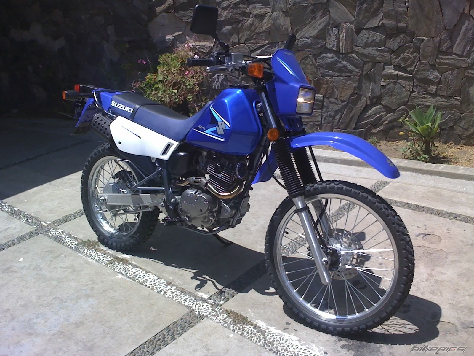Photo 1351537