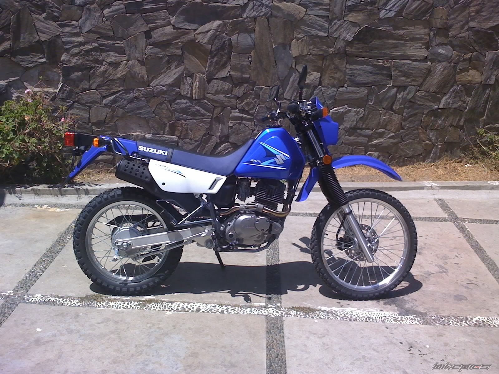 Photo 1351538