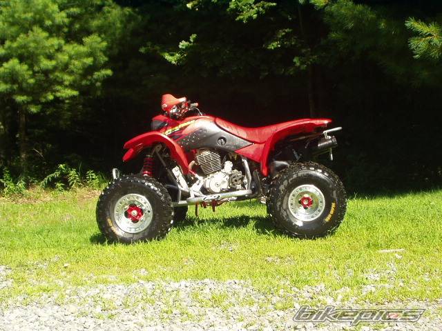 Photo 135155