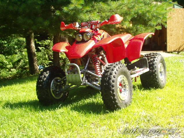 Photo 135157