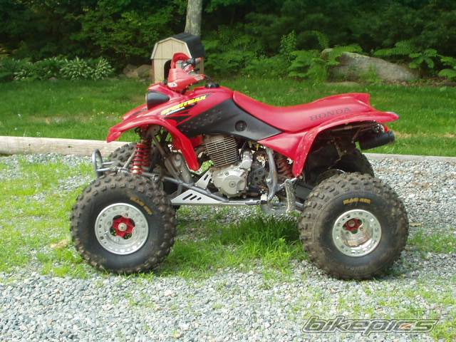 Photo 135159