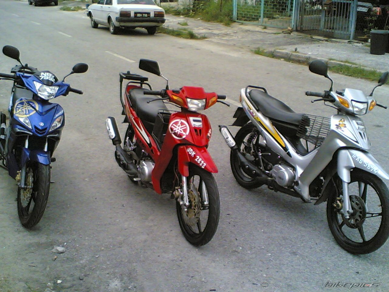 Photo 1351590
