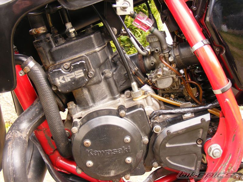 Bike Photo 1351594