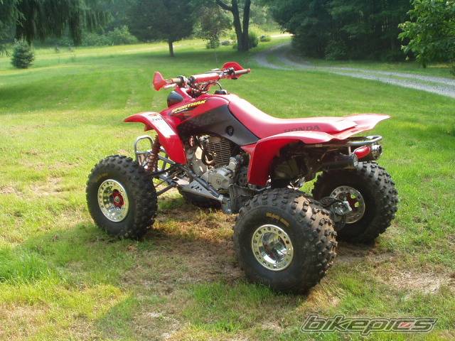 Photo 135161