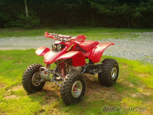 Photo 135162