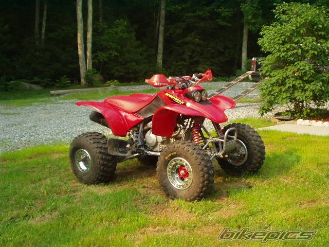 Photo 135163