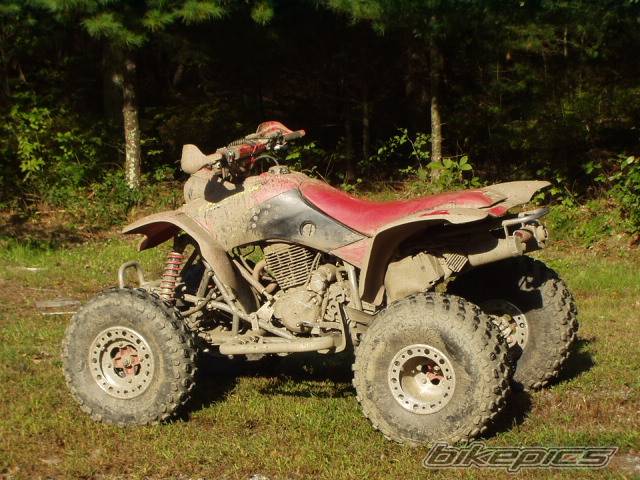 Photo 135165