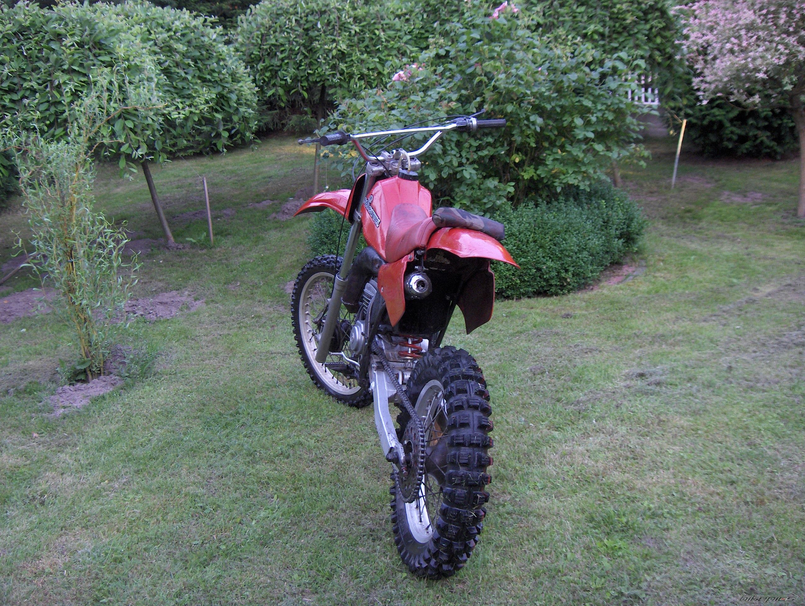 Bike Photo 1351651