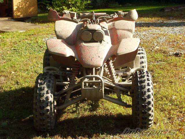Photo 135167