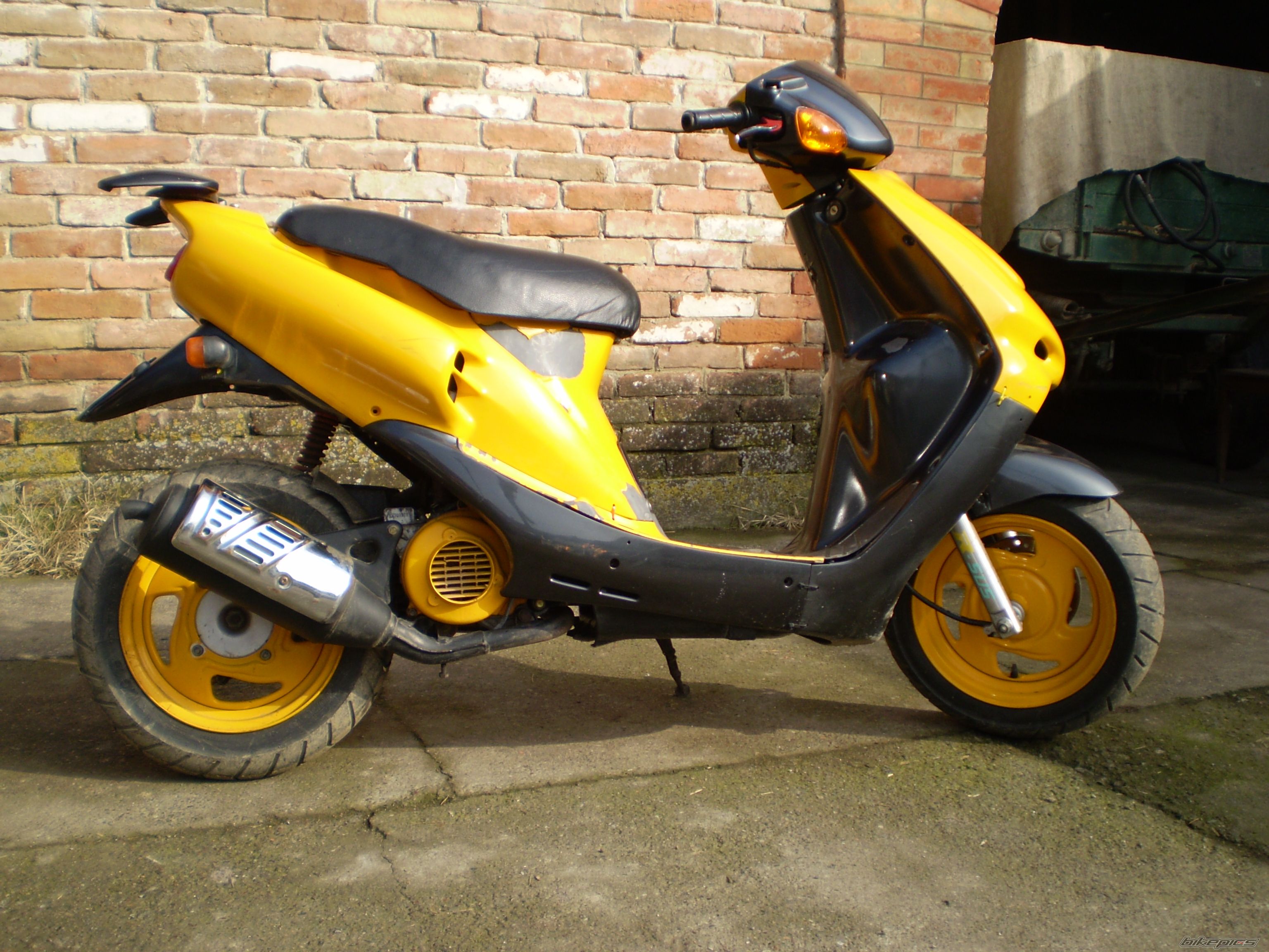 Photo 1351683