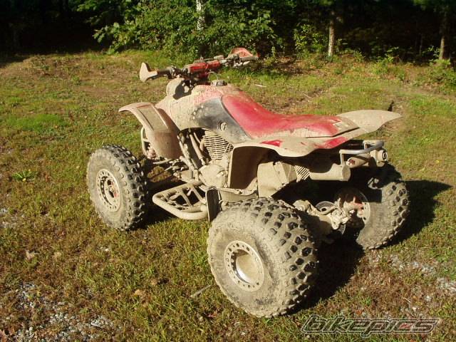 Photo 135169