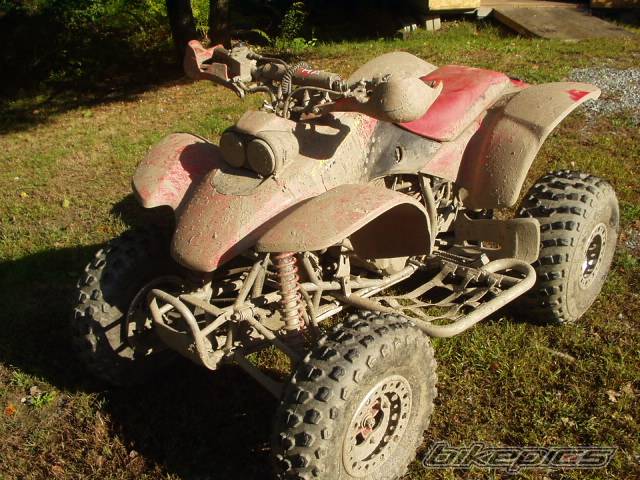Photo 135170