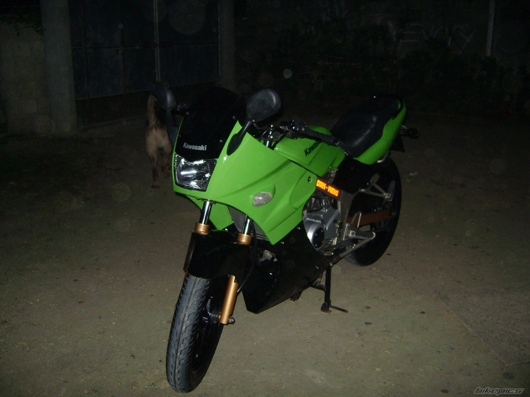 Photo 1351749