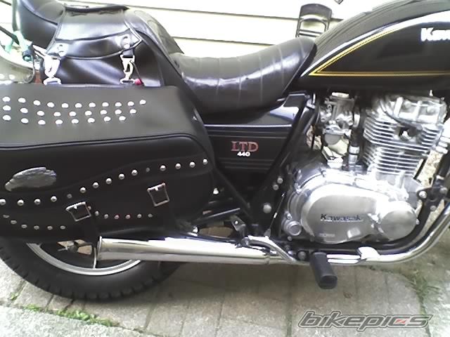 Photo 1351902