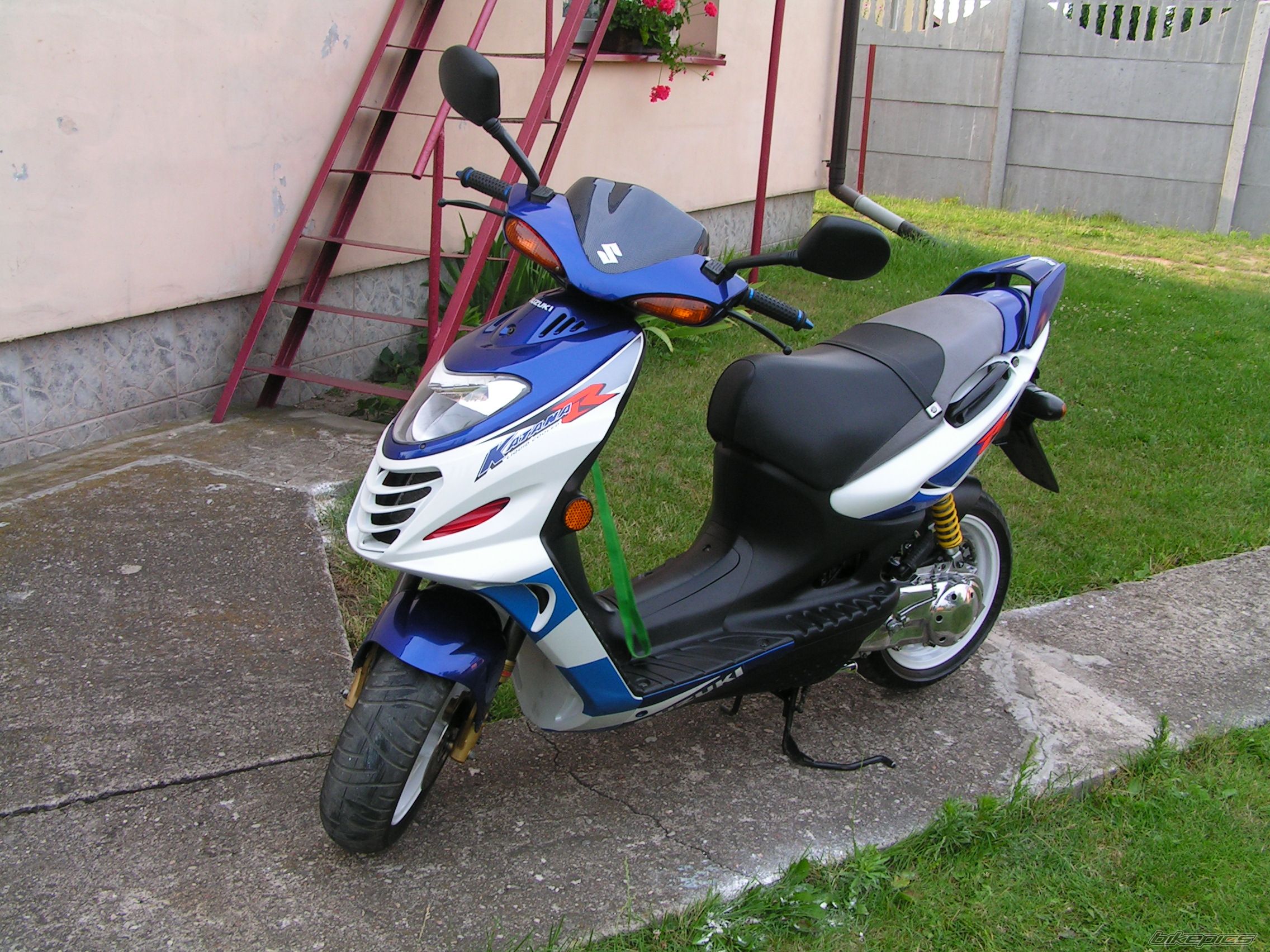 Photo 1351932