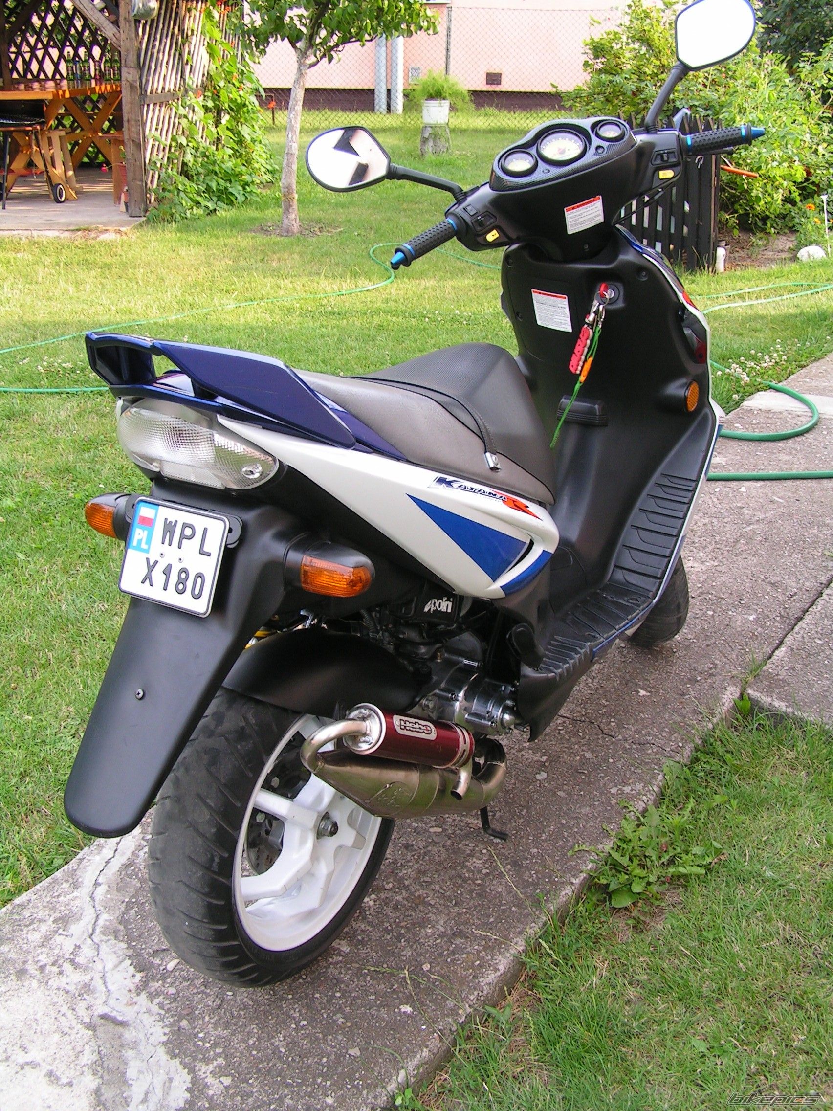 Photo 1351947