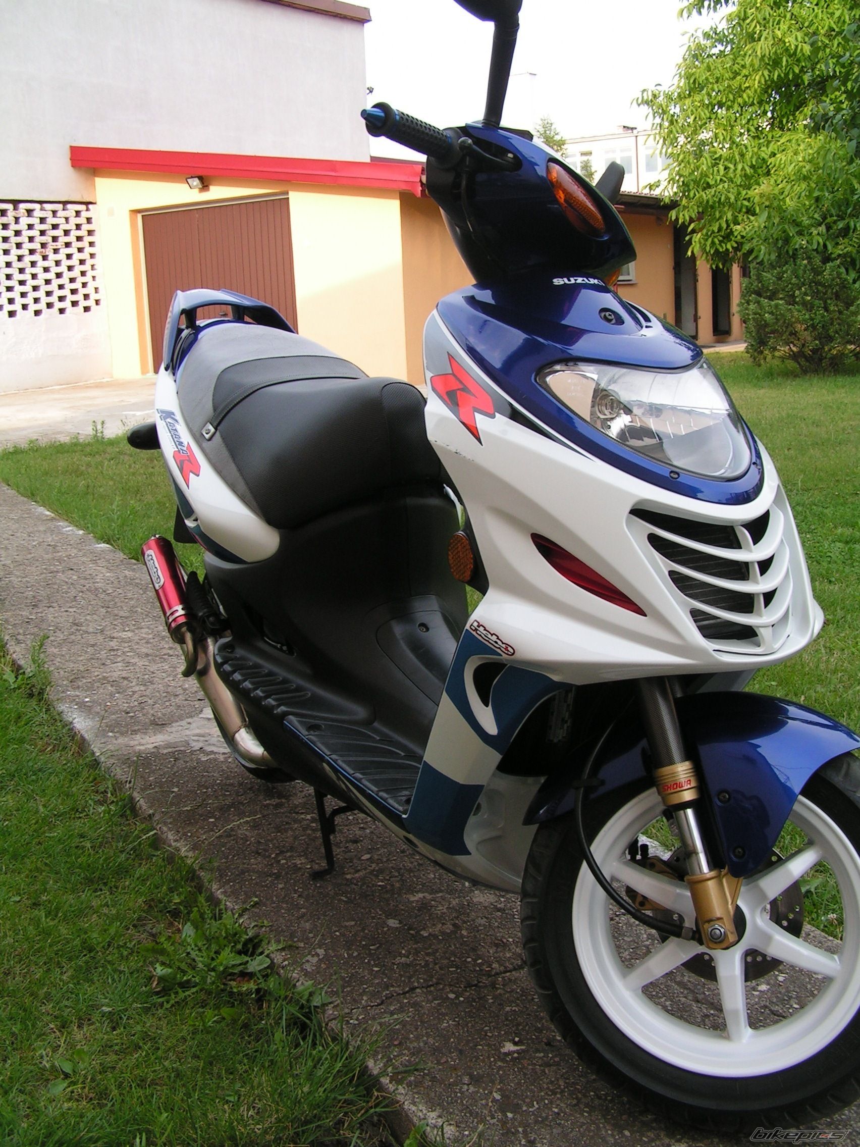 Photo 1351952