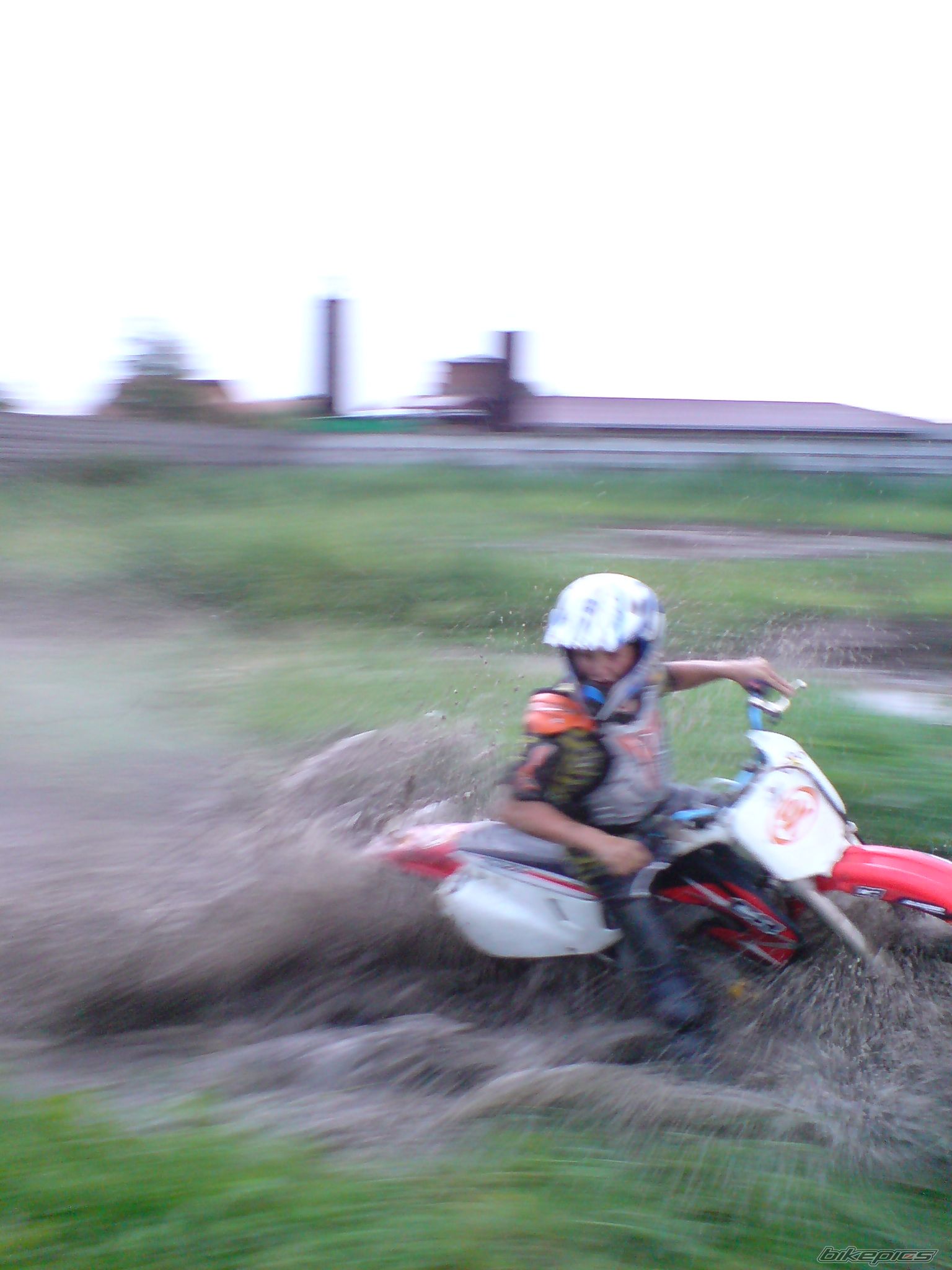 Photo 1351983