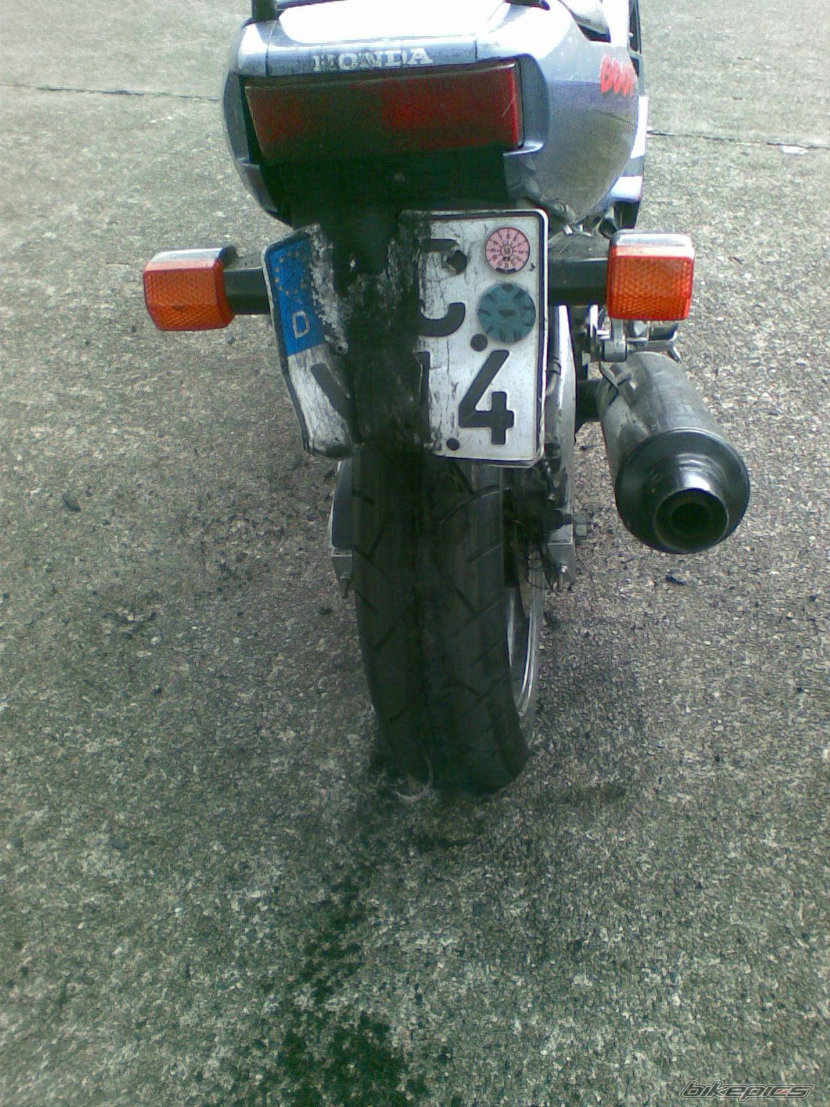 Photo 1351990