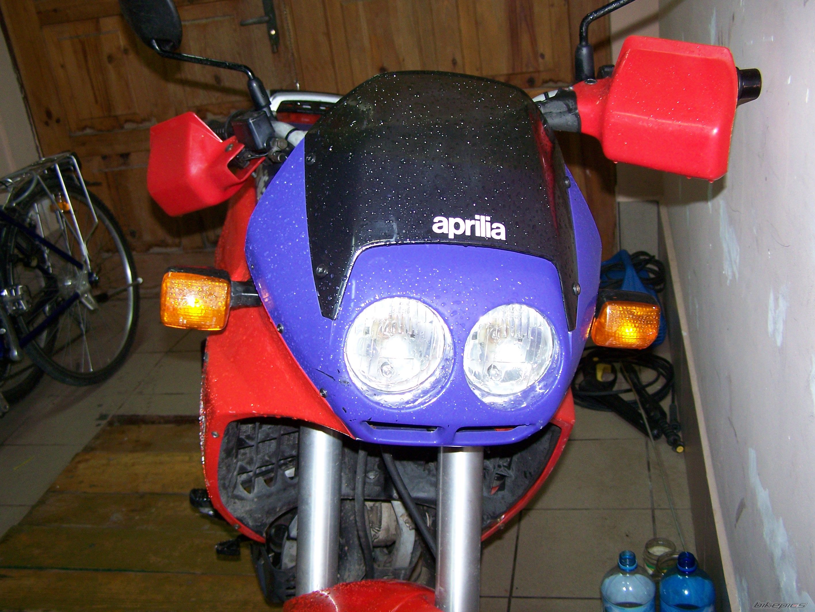 Photo 1351998