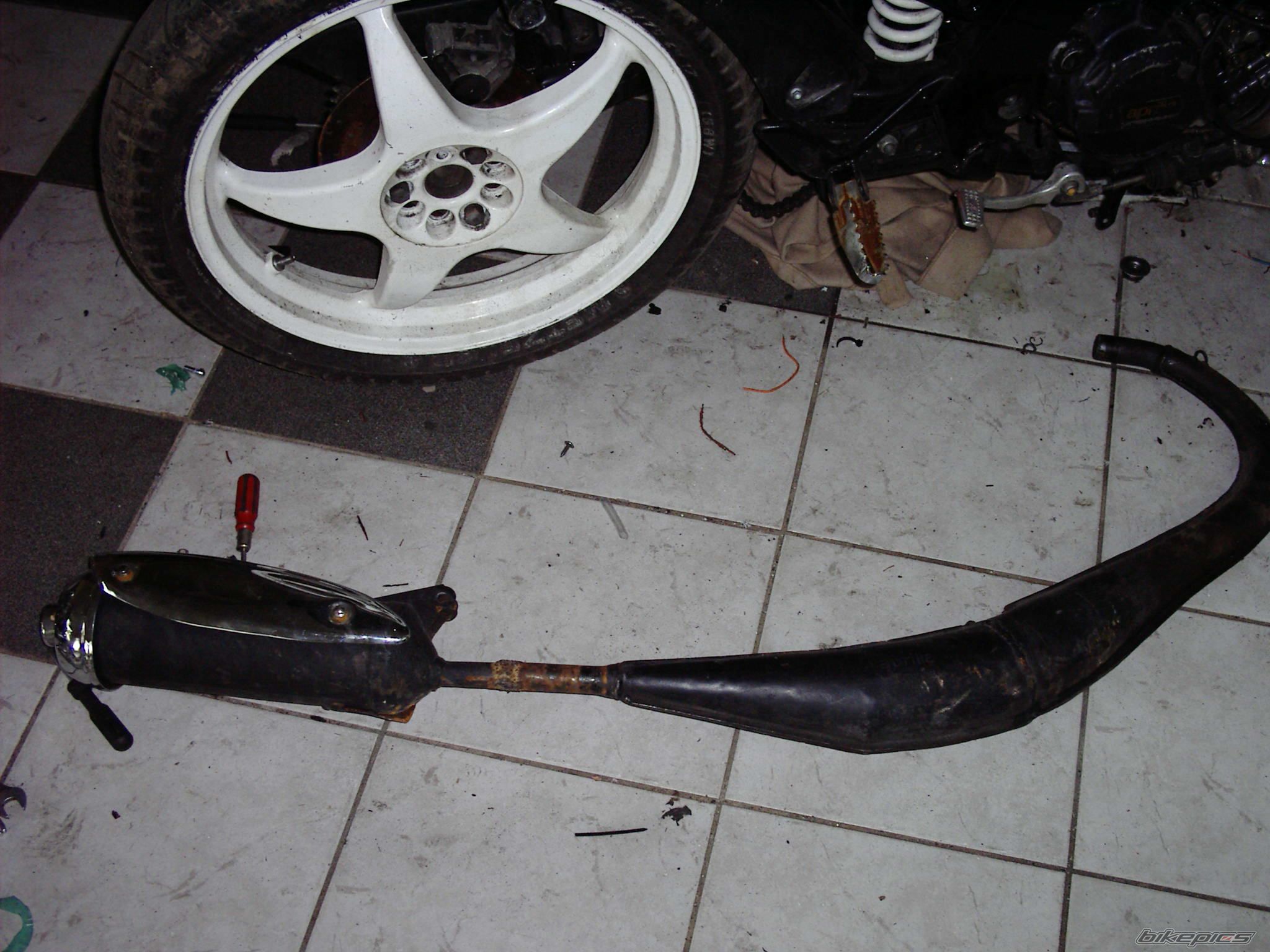 Photo 1352003