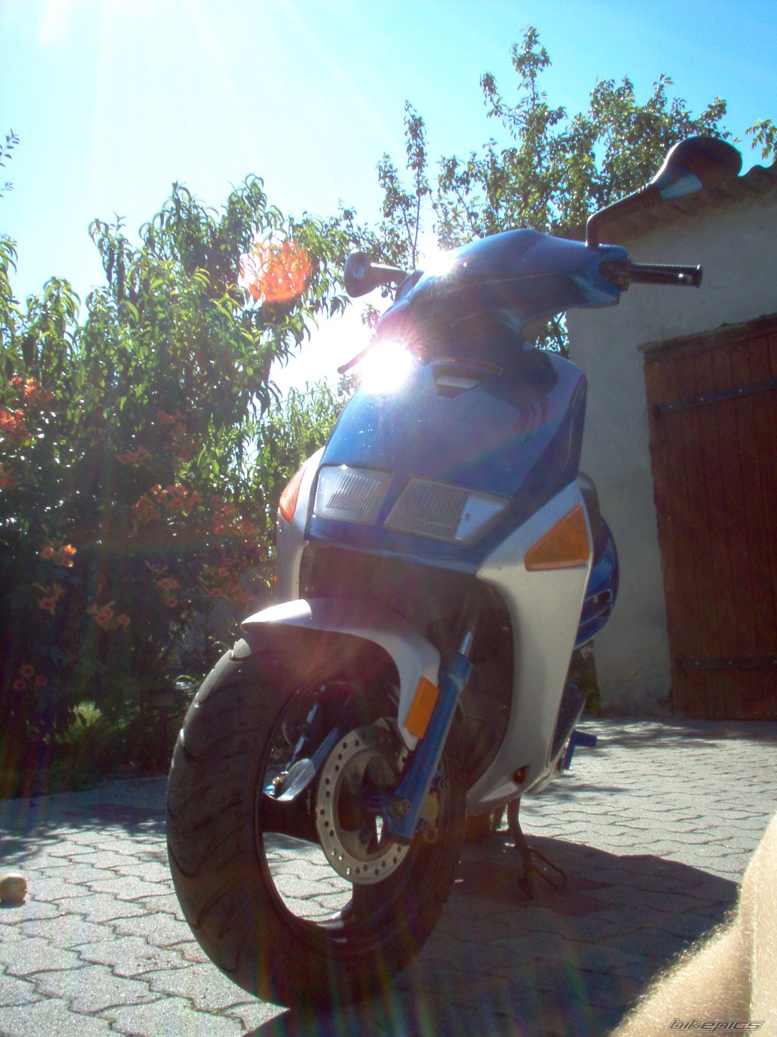 Bike Photo 1352122