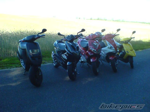 Photo 1352158