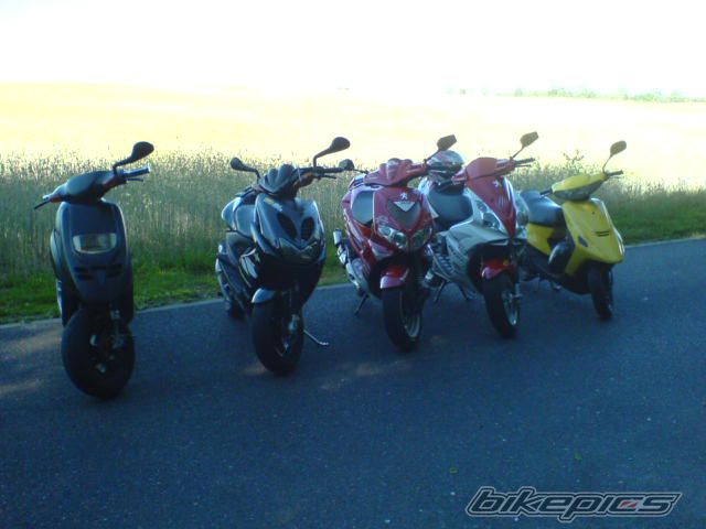 Photo 1352159