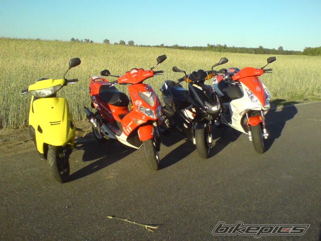 Photo 1352160