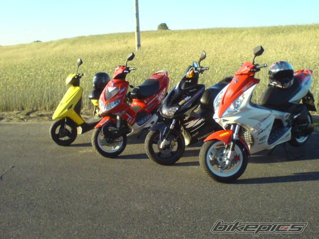 Photo 1352161