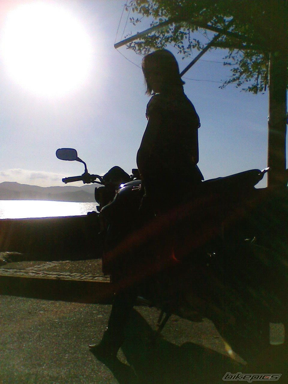 Photo 1352194