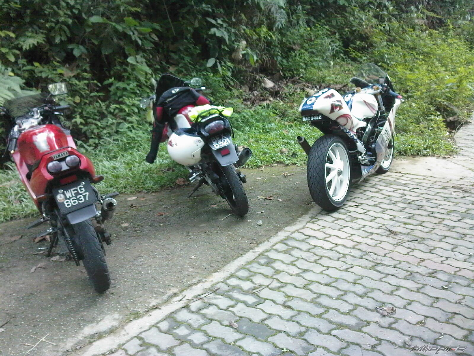 Photo 1352294