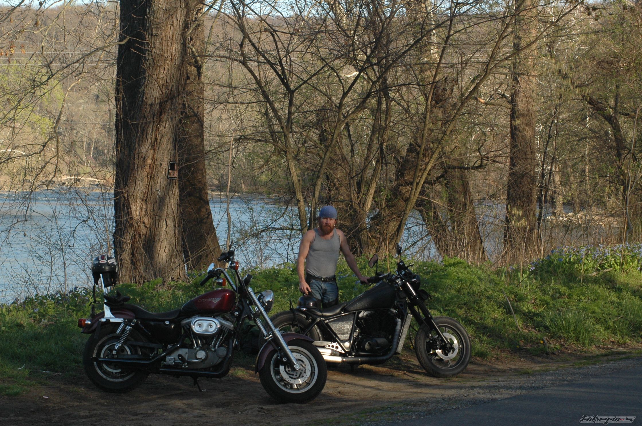 Photo 1352354