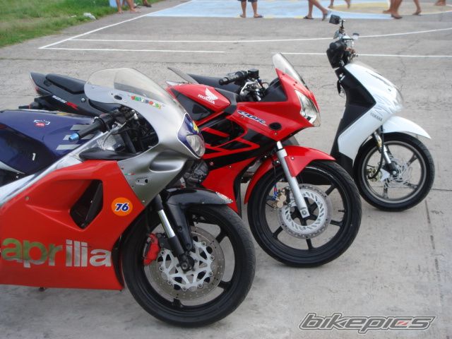 Photo 1352384