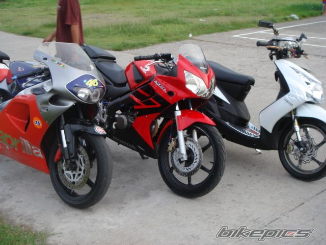 Photo 1352392