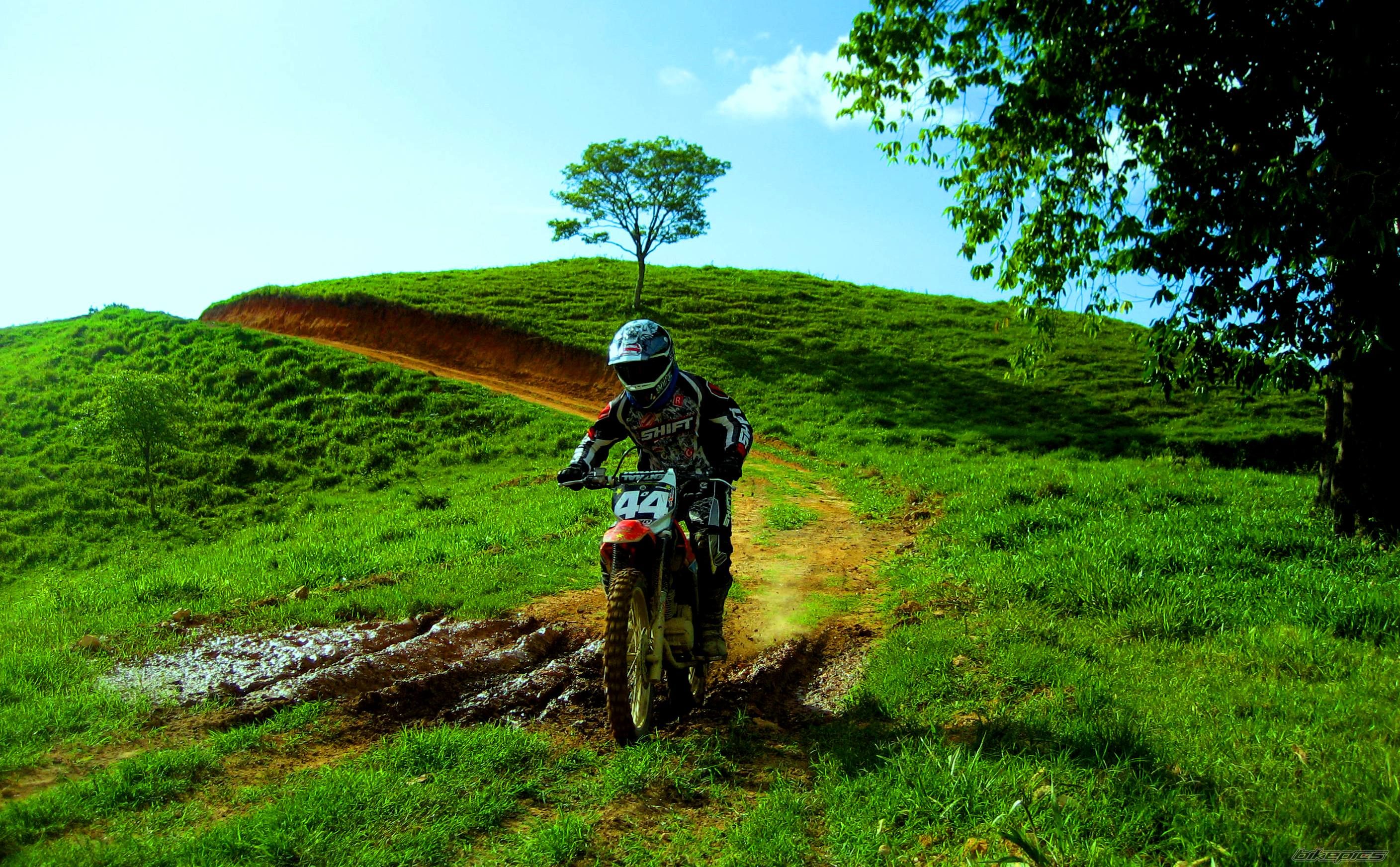 Bike Photo 1352408