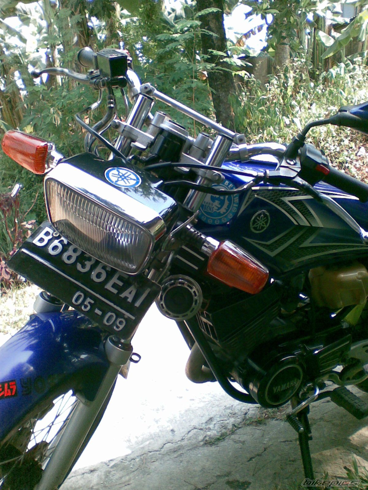 Photo 1352443