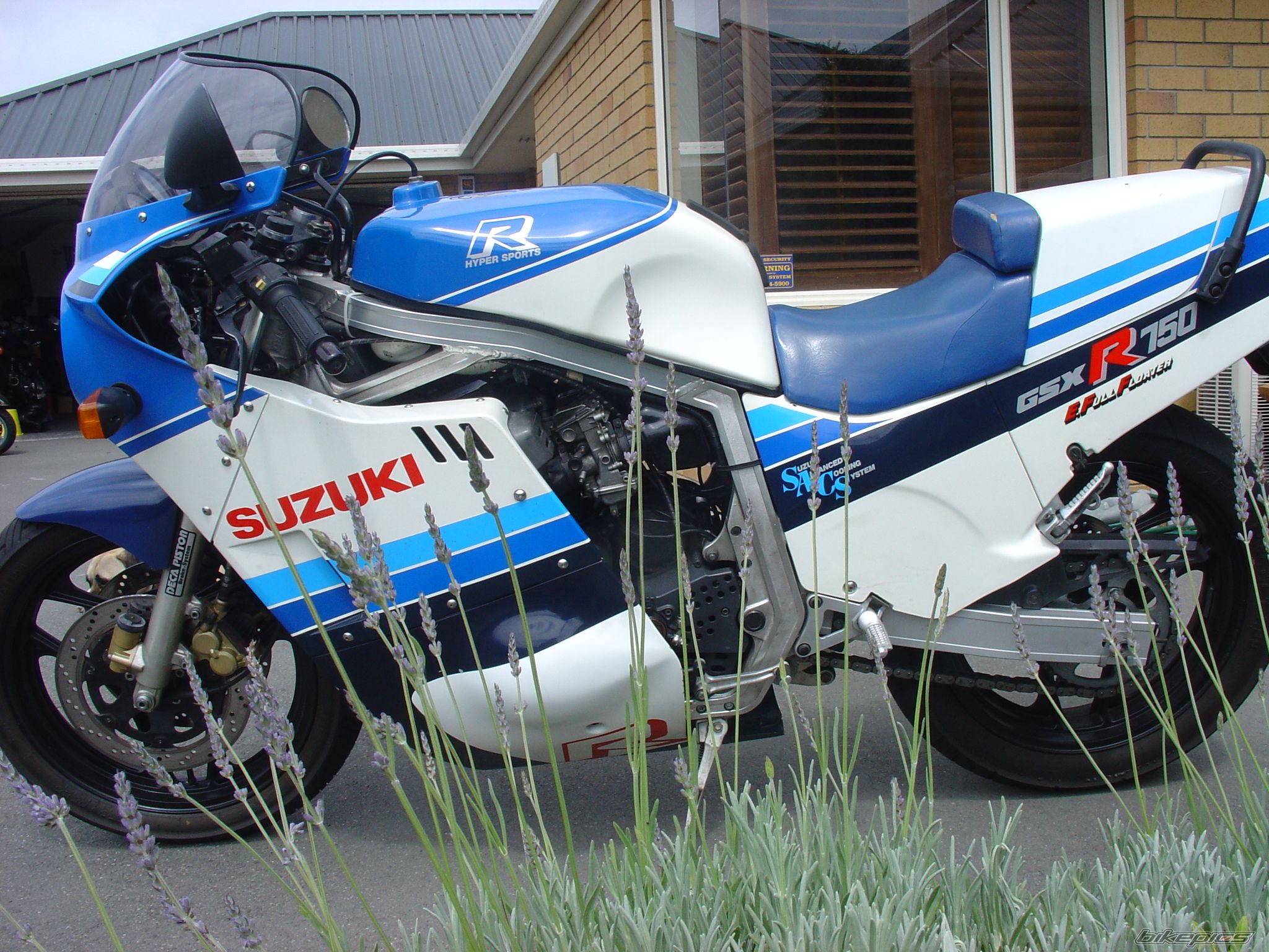 Bike Photo 1352518