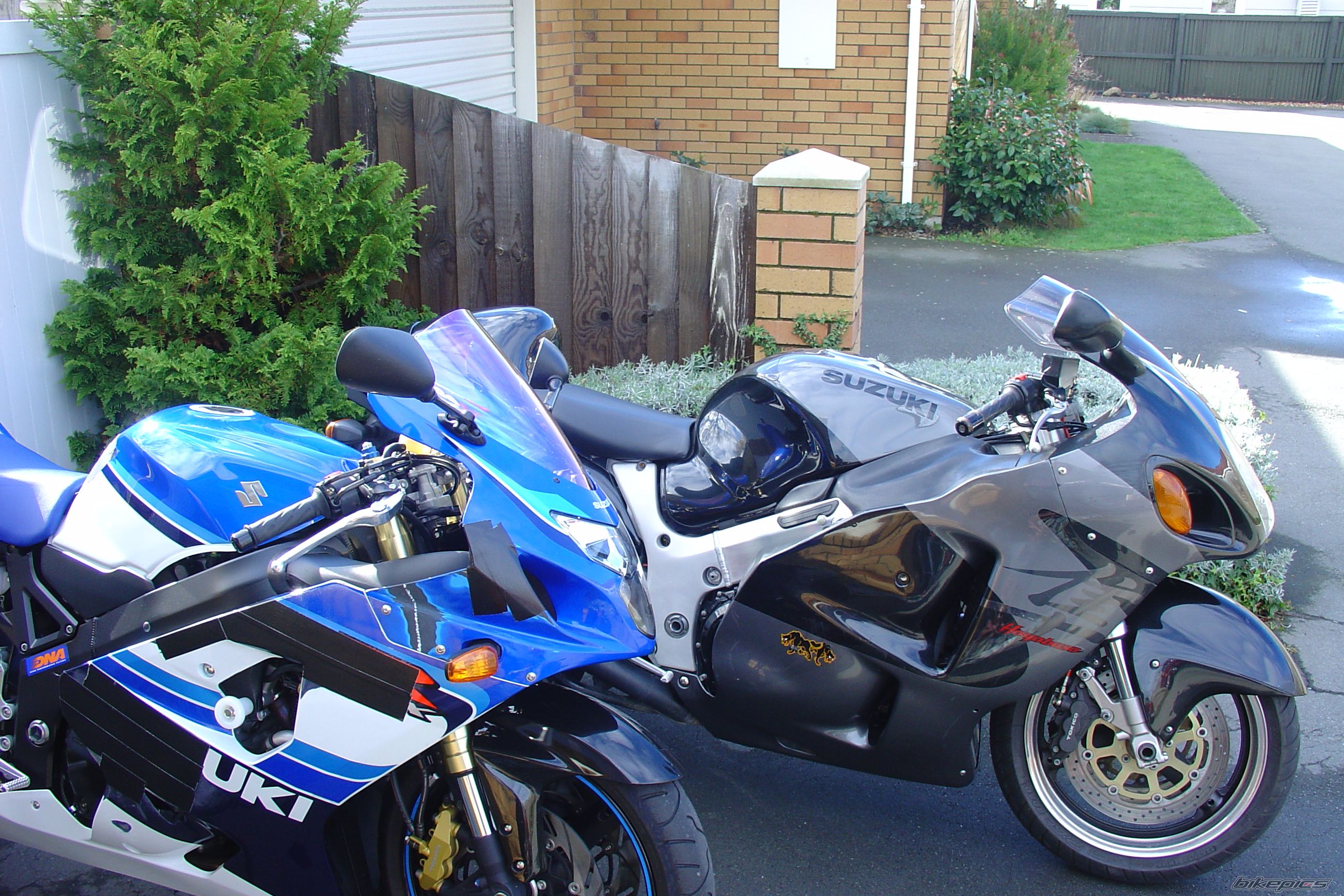 Photo 1352550