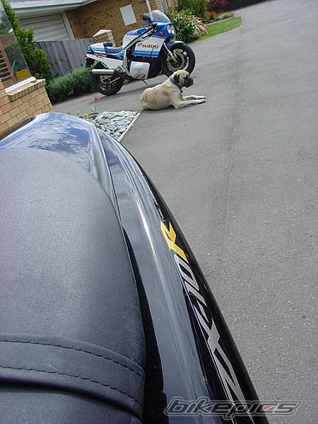 Bike Photo 1352568