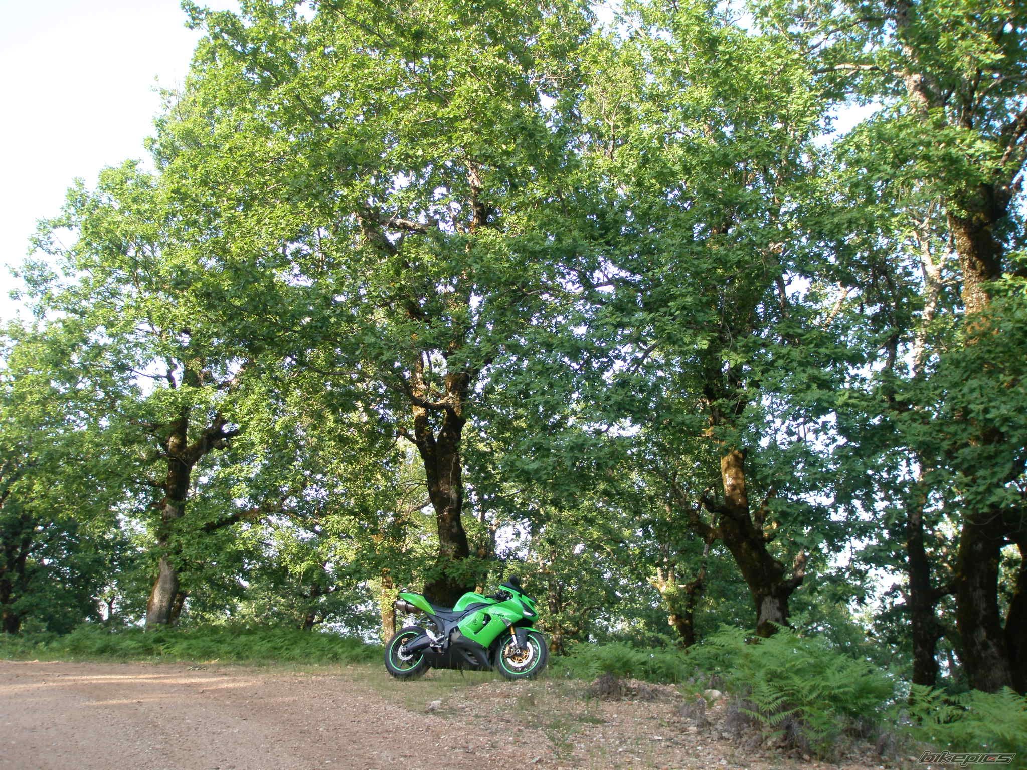 Bike Photo 1352589